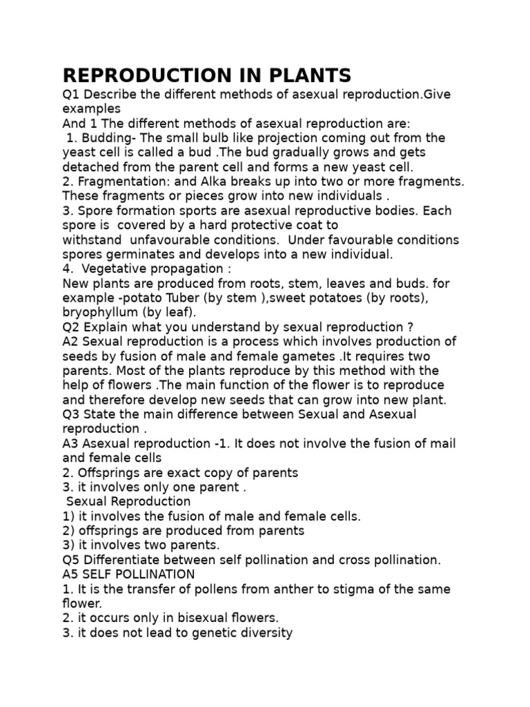 Reproduction in Plants 1 | PDF | Flowers | Plant Reproduction