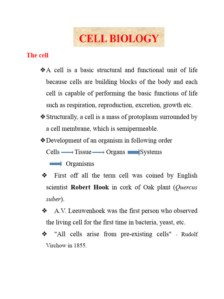 Introduction To Cell Biology | PDF | Endoplasmic Reticulum | Chloroplast