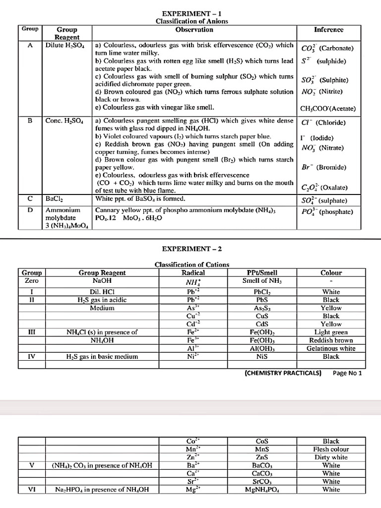 Practical File Work | PDF