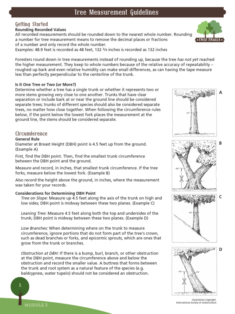 3.1 Tree Measurement Guidelines | PDF | Trees