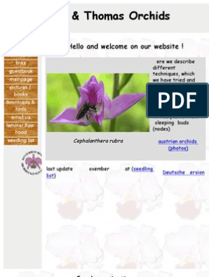 Lotte Thomas - Germinacion de Orquideas, PDF, Plants