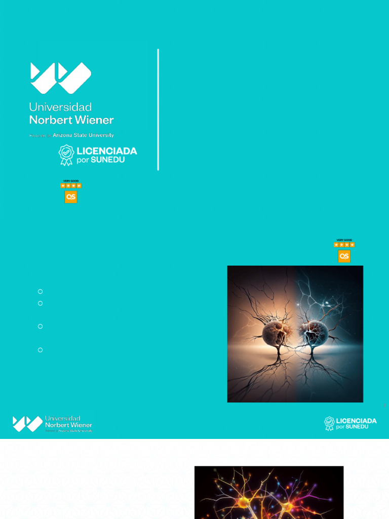 CLASE 4 SISTEMA NERVIOSO | PDF | Sinapsis | Neurotransmisor