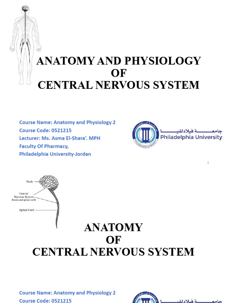 Week 9-12 Anatomy and Physiology of the Central Nervous System Ms.asma ...