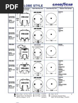 Catalogo Bolsas Good Year Piston Automotive Technologies