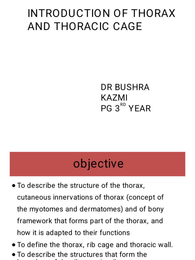 Thethoraciccageanatomy 221008120135 b6d7b5ad (7) | PDF | Vertebra | Thorax