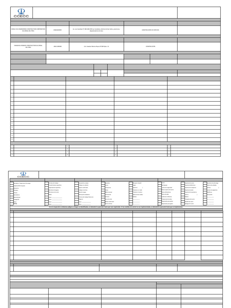Ccc07-p20000-For-seg-0004 Rev. 00 - Formato de Ats | PDF