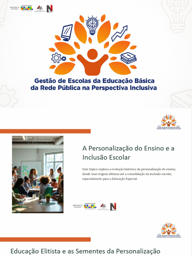 Personalização Do Ensino | PDF | Pedagogia | Educação Especial