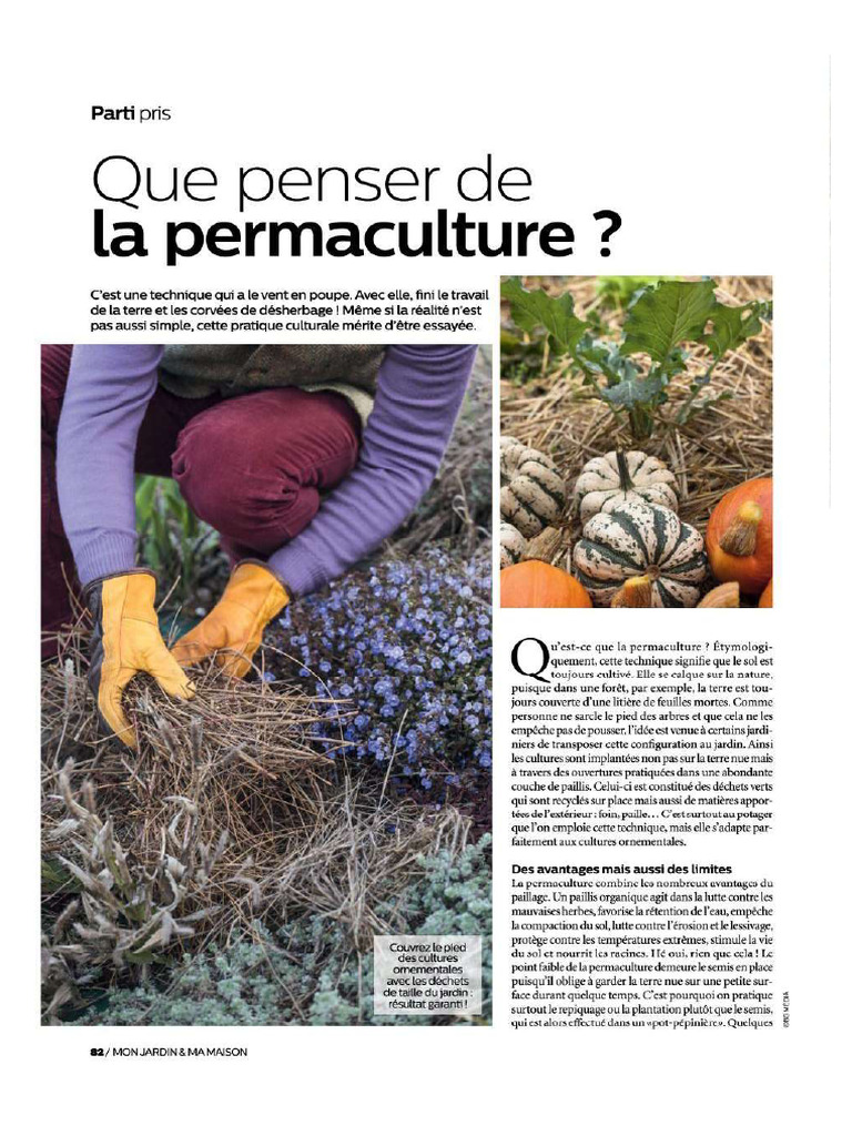 Pratique de La Permaculture | PDF