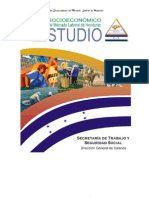 Estudio Socio Económico 2008-2009