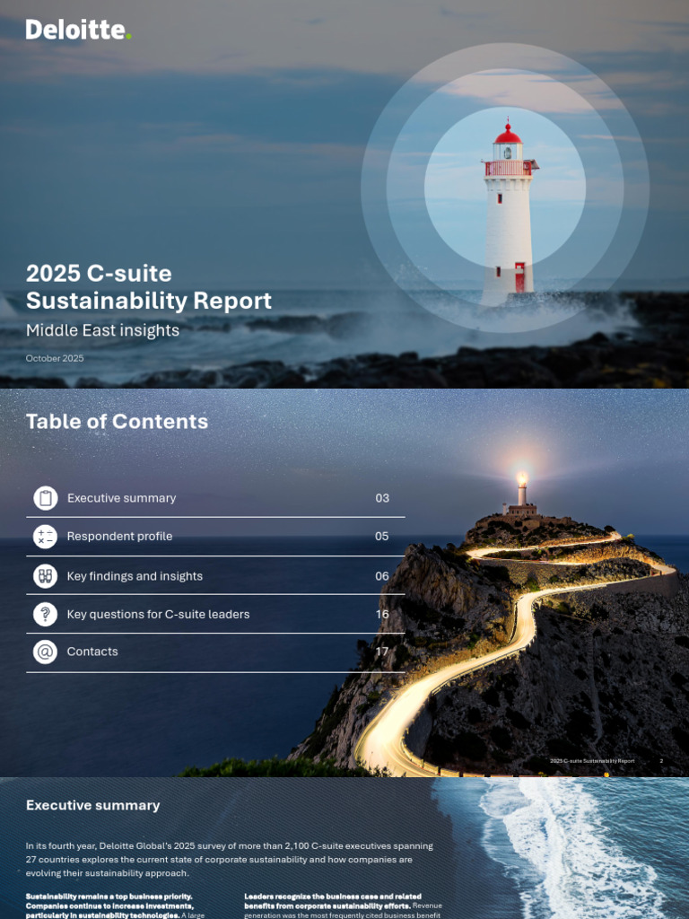 DME C Suite Sustainability Report 2025 | PDF | Sustainability | Limited ...