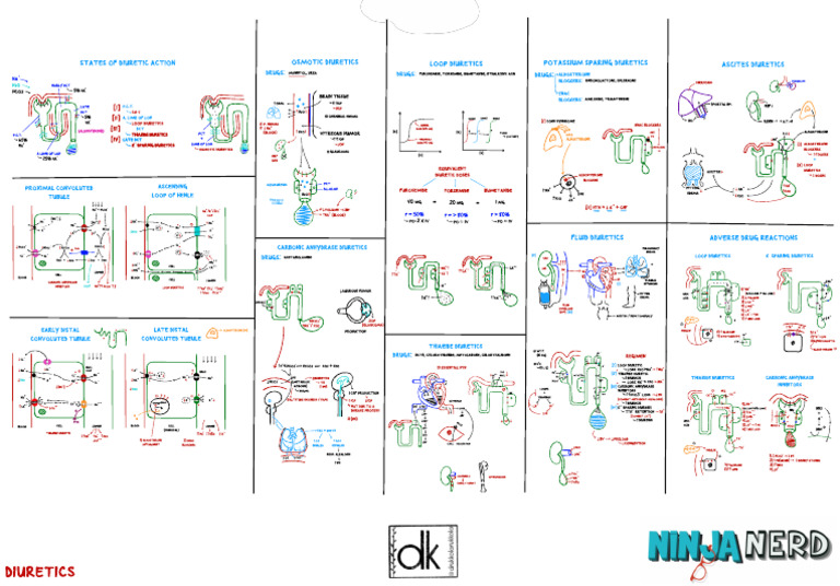 11. Diuretics | PDF