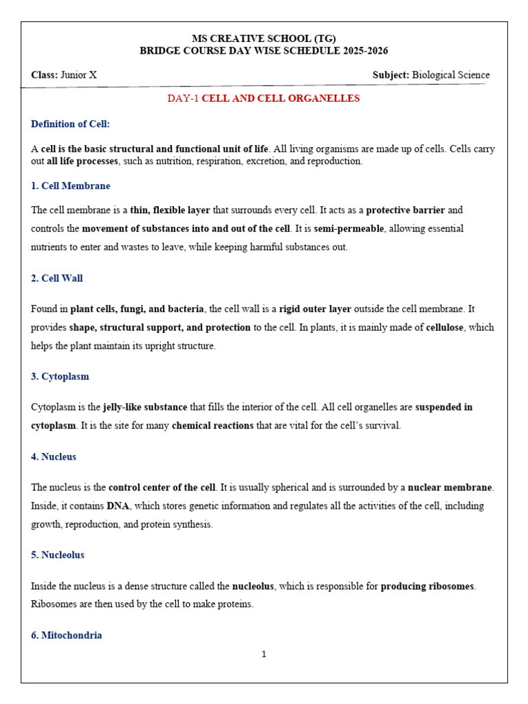 Bridge Course Day Wise Schedule | PDF