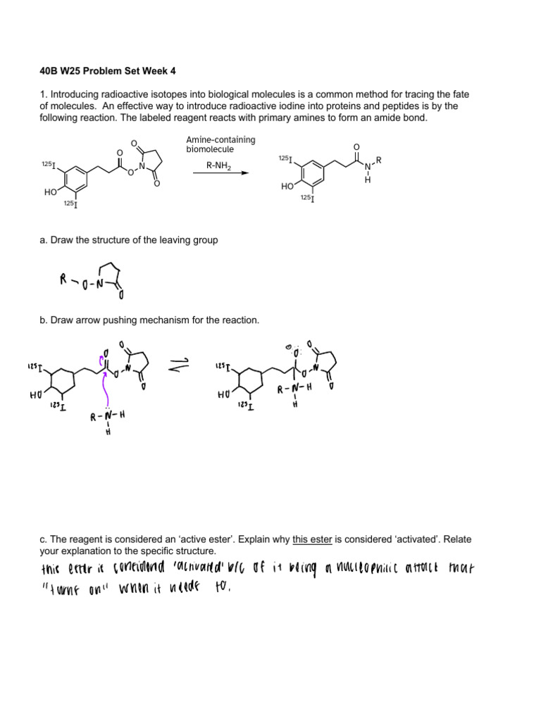 40B+W25++Problem+Set+Week+4 | PDF | Chemical Reactions | Ester