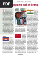 d-like Real Dri MOTOR 【10.5T】 IRRI 2003-04 Director's Report | PDF | Gene | Genomics