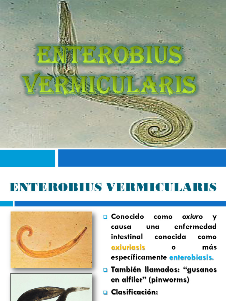 Enterobius Vermicularis | PDF | Especialidades Medicas