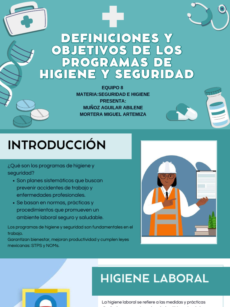 Programas de Higiene y Seguridad | PDF | Valores | Higiene