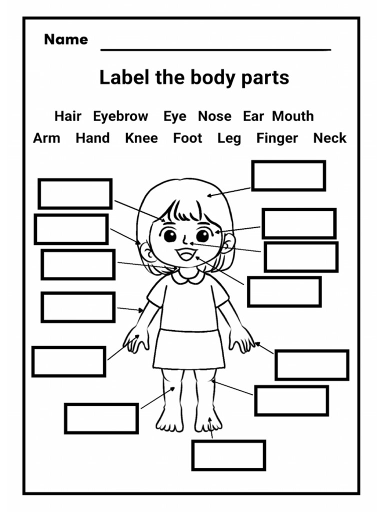 Labelthebodyparts 1 | PDF