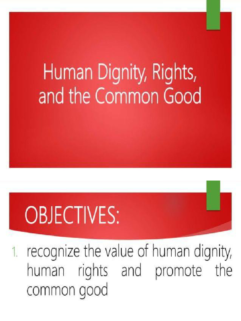 Human Rights | PDF