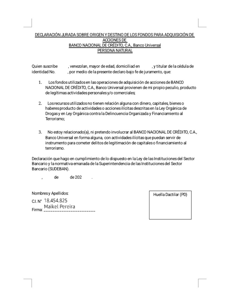 Bnc Actualizado | PDF