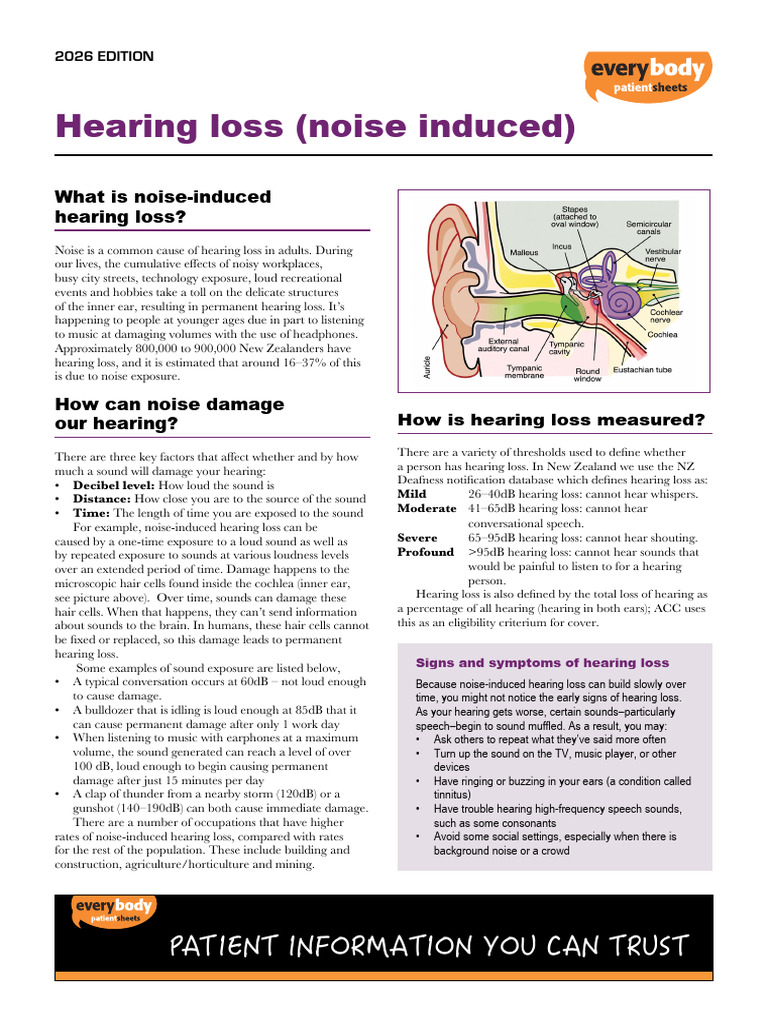Hearing Loss Noise Induced 2026 | PDF | Hearing Loss | Noise