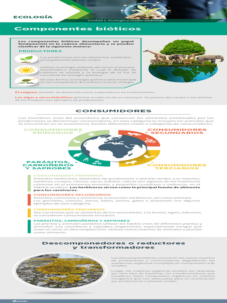 Componentes Bióticos | PDF | Plantas | Ecología