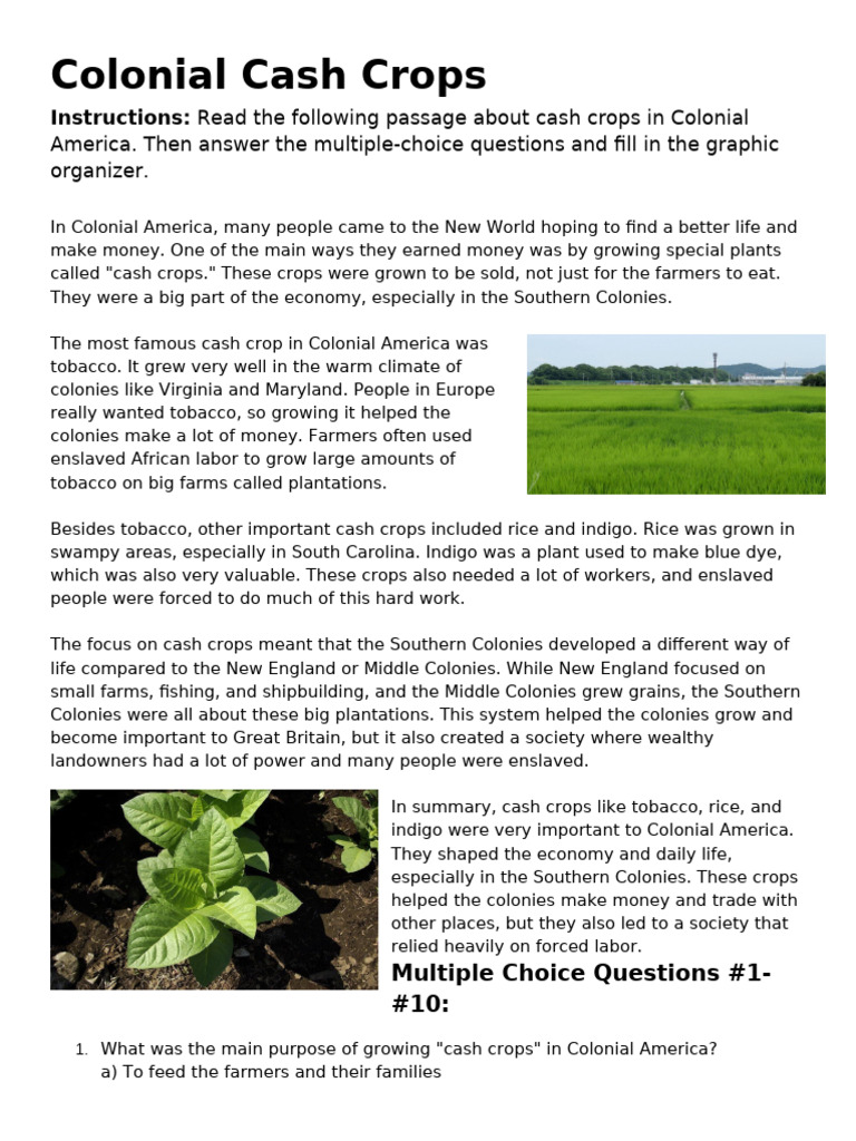 Colonial Cash Crop HW | PDF | Cash Crop
