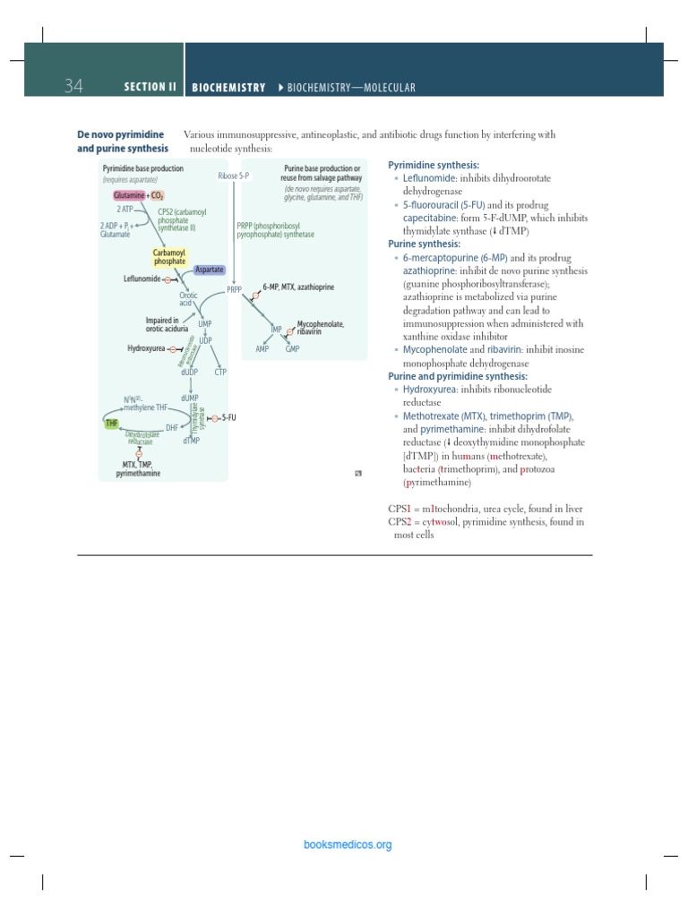 First Aid For The USMLE BioMole | PDF | Dna Replication | Dna