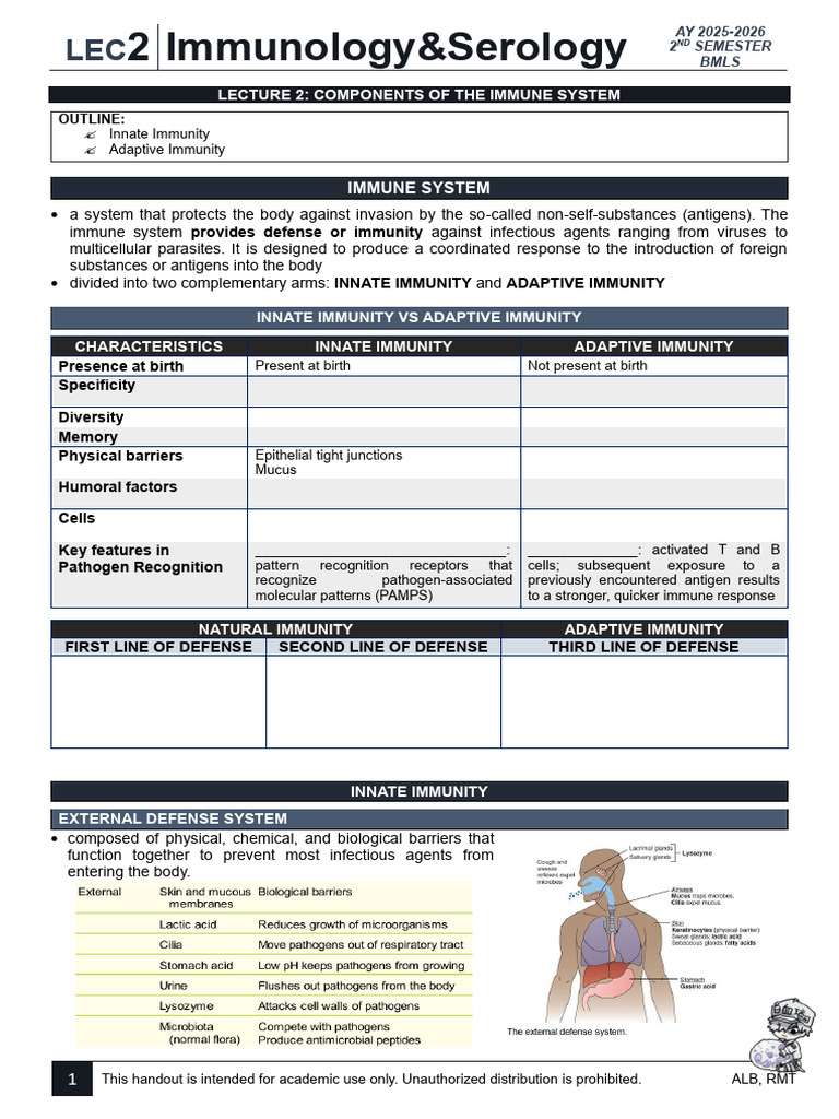 Lec2 - Components of The Immune System | PDF | T Cell | T Helper Cell
