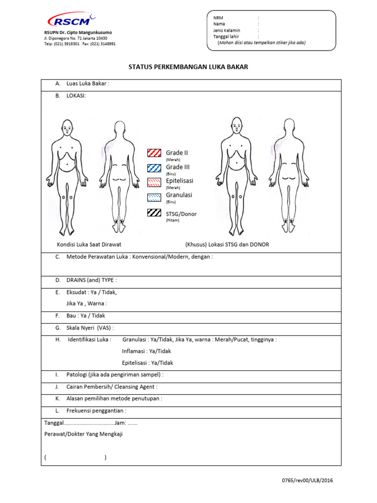 Status Luka Bakar Sample Penelitian | PDF