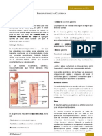 clase14-helicobacterpylori-110925125409-phpapp02
