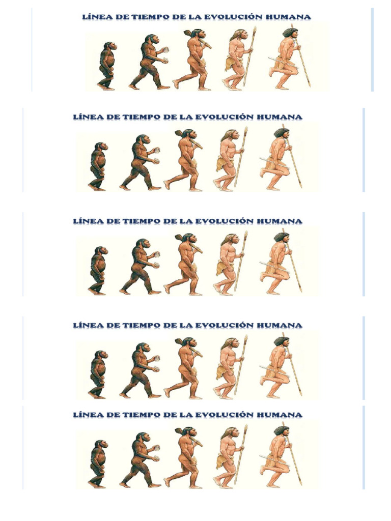 Dibujos Evolucion Del Hombre | PDF