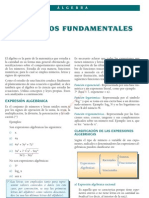 1 Conceptos Fundamentales