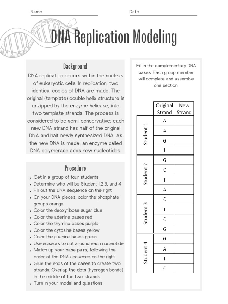DNA Replication Modeling: Background | PDF | Dna | Dna Replication