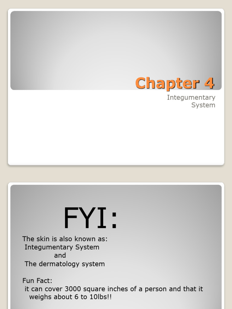 Chapt 4 PPTS Assignment | PDF | Skin | Skin Cancer