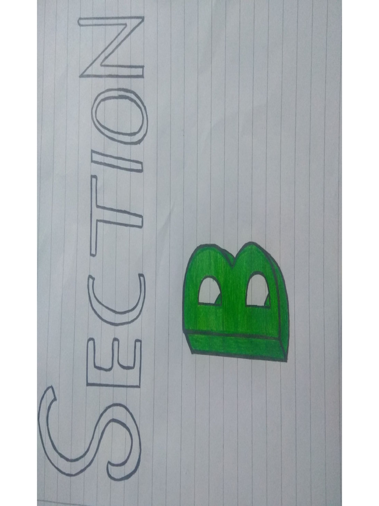 Section B Activities | PDF