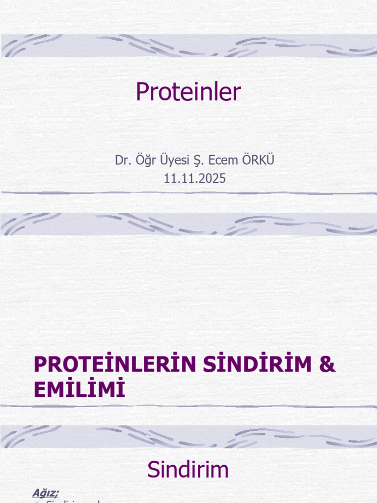 Proteinler III | PDF