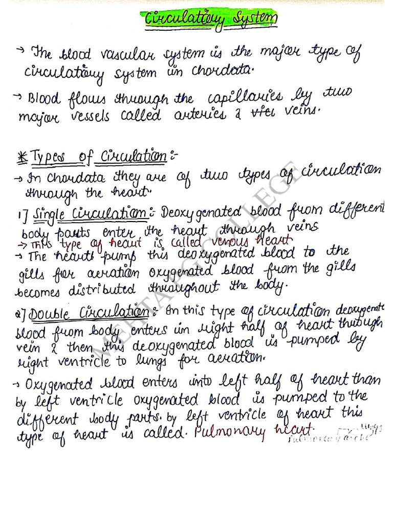 Zoo Notes | PDF