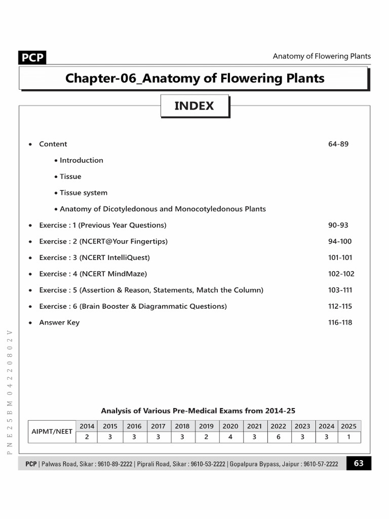 Anatomy Module | PDF