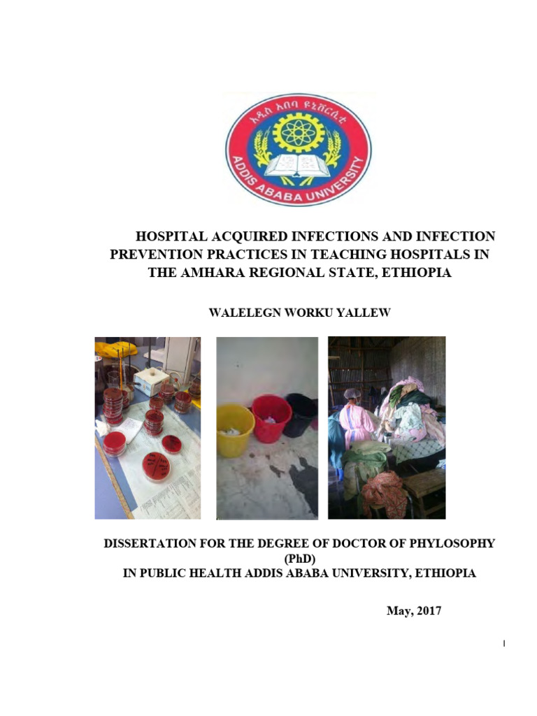 Walelegn Worku | PDF | Hospital Acquired Infection | Medicine