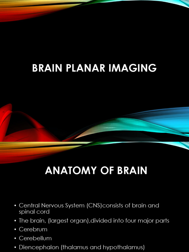Brain Planar Imaging 11 Feb 2024 2 | PDF | Central Nervous System ...