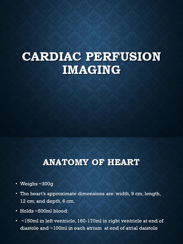 Cardiac Perfusion Imaging 4 Feb 2024 2 | PDF | Coronary Circulation ...