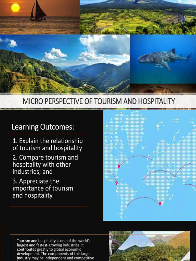 Lesson 1 Micro Perspective | PDF