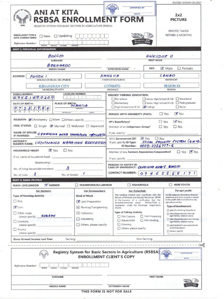 Rsbsa Form | PDF