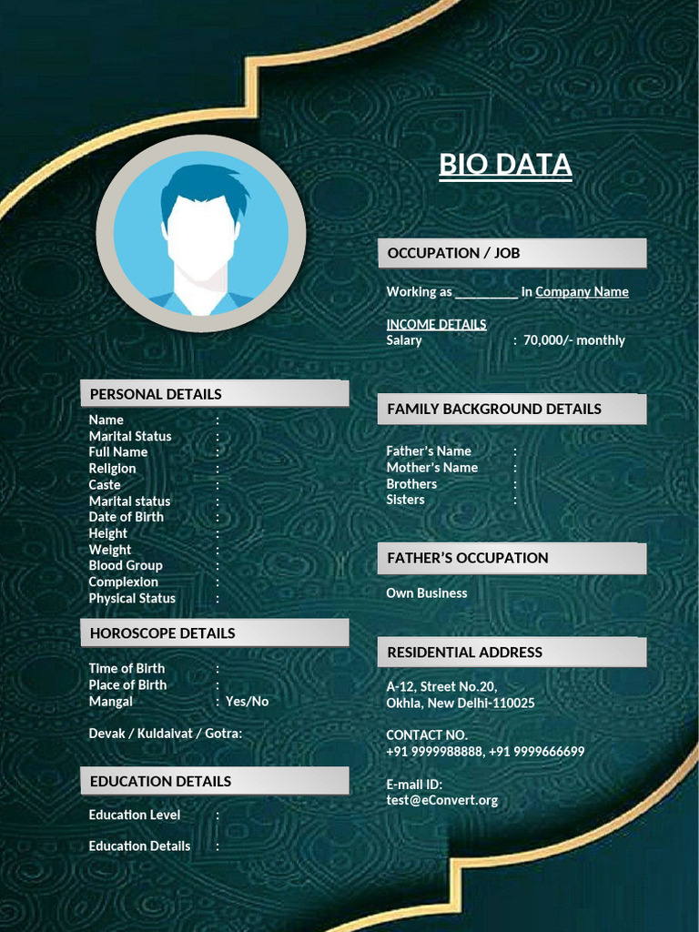 Bio Template With Profile Summary Section for Marriage | PDF