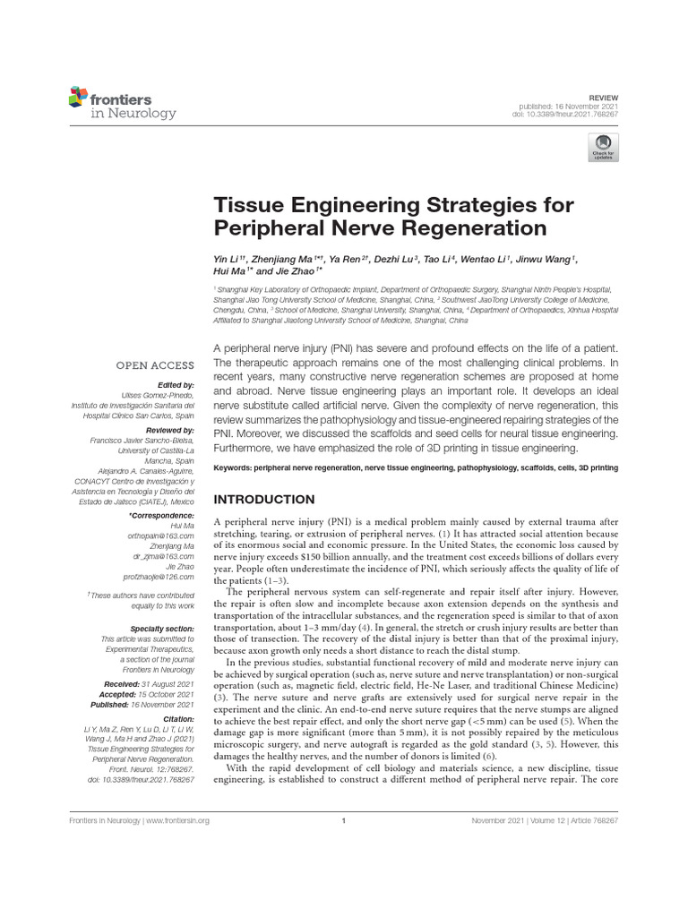Nerves Tissue Engineering | PDF | Nerve | Axon