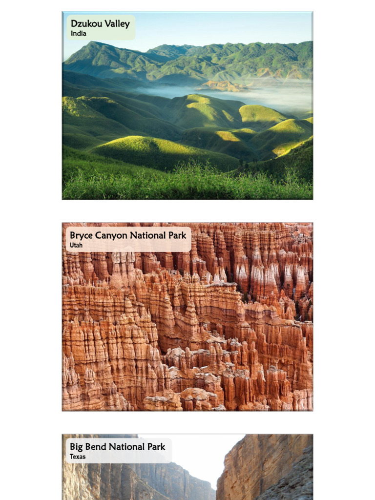 CHAPTER 5 - Earth Processes and Landforms | PDF | Weathering | Erosion