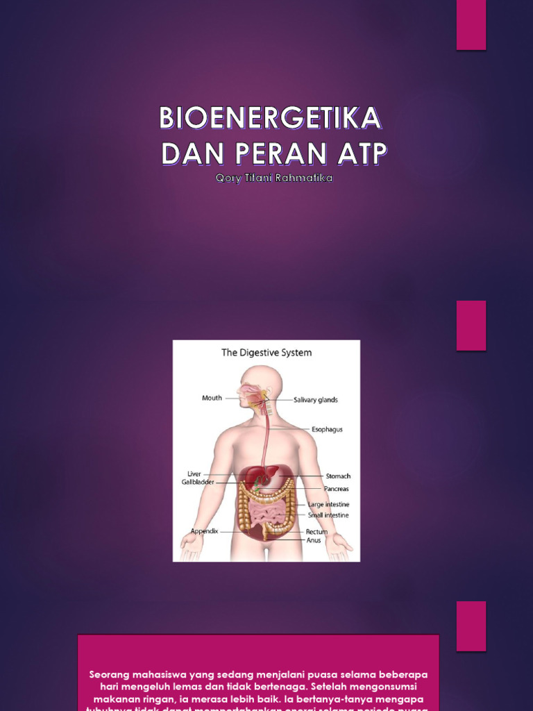 Bioenergetika | PDF