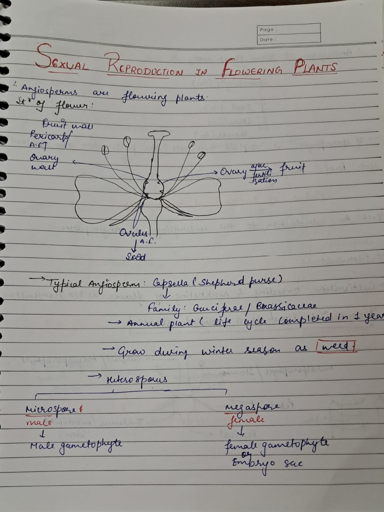 Botany Notes | PDF