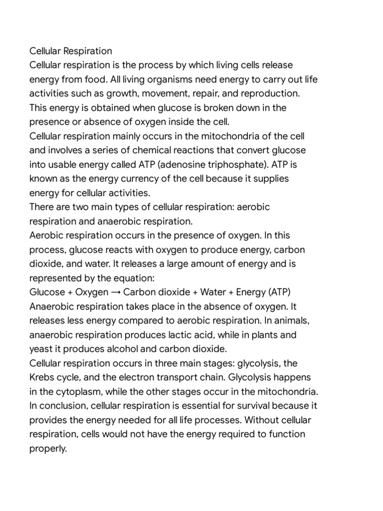 Cellular Respiration | PDF