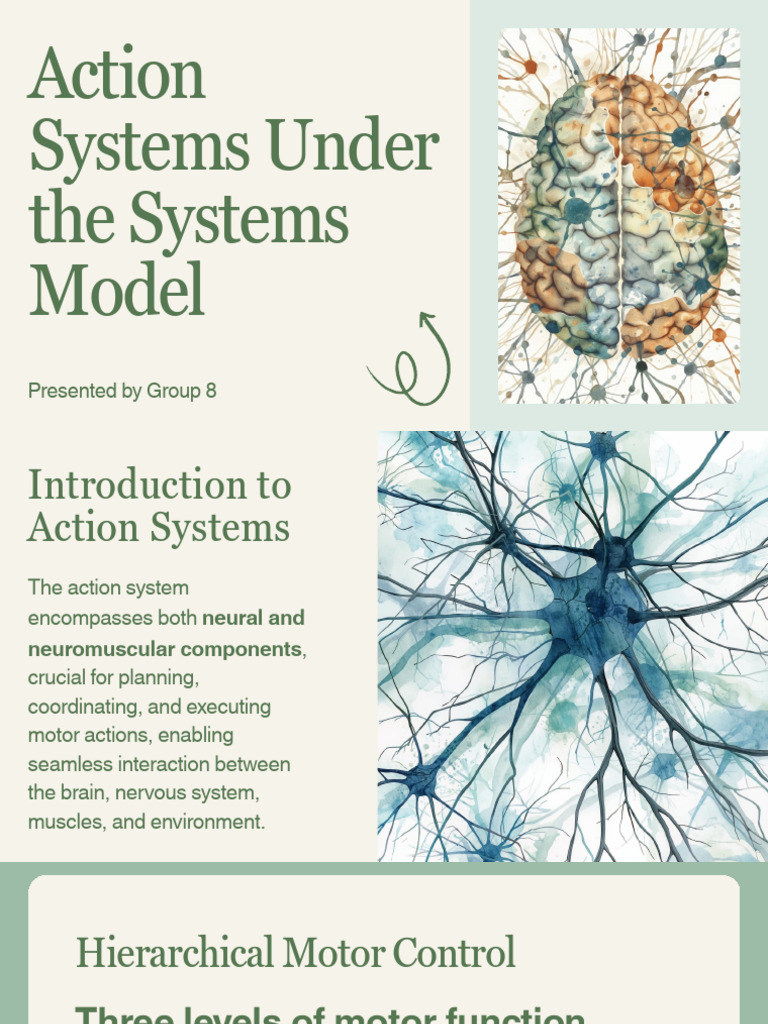 Presentation - Action Systems Under The Systems Model | PDF | Motor ...